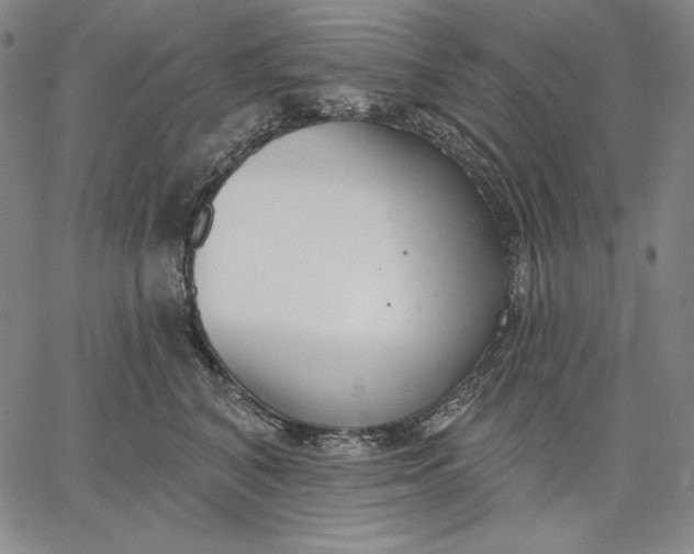 X0000067330616200604131702