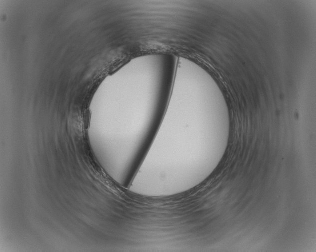 X0000067330617200604131702