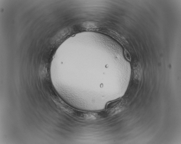 X0000067330618200604131702