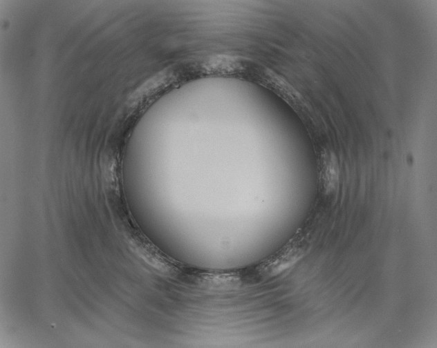 X0000067330619200604131702