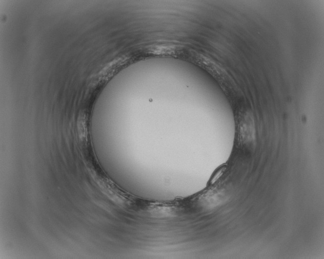 X0000067330620200604131702