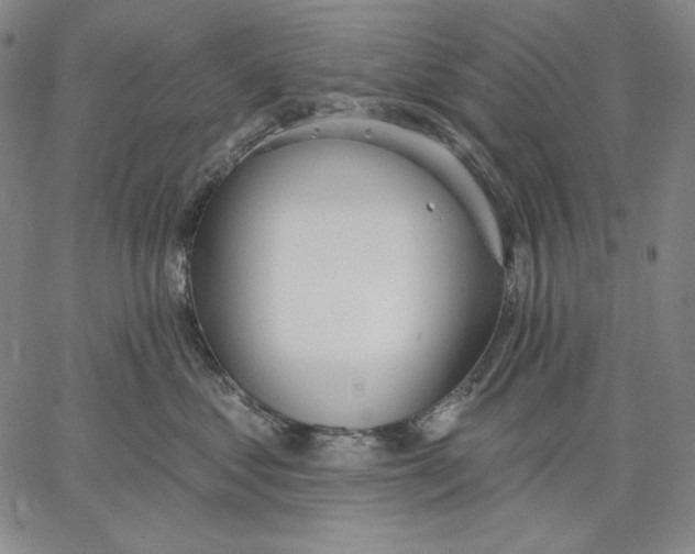 X0000067330621200604131702