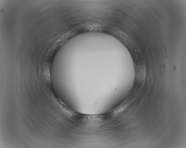 X0000067330622200604131702