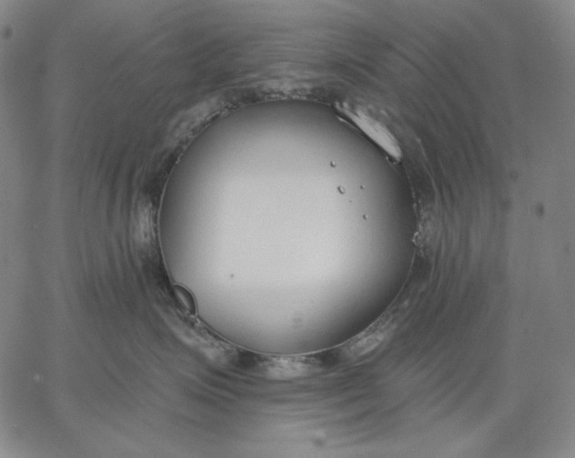 X0000067330623200604131702