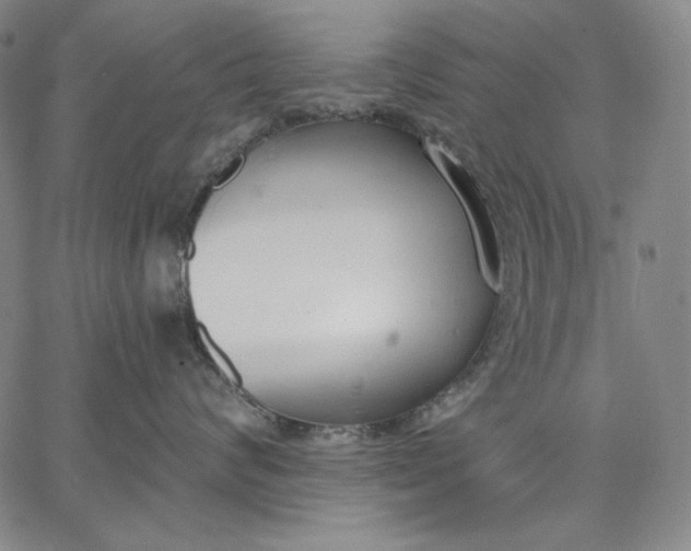 X0000067330624200604131702