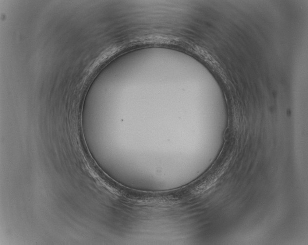 X0000067330625200604131701