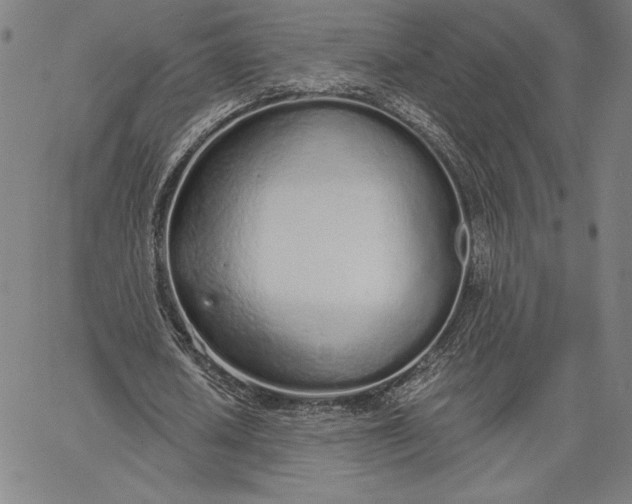 X0000067330626200604131701