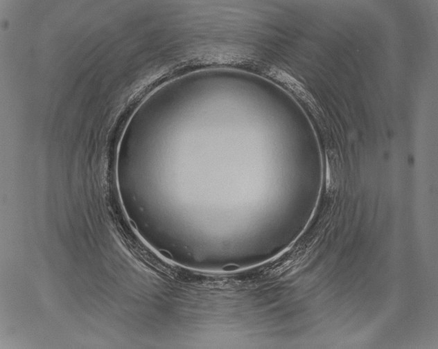 X0000067330627200604131701