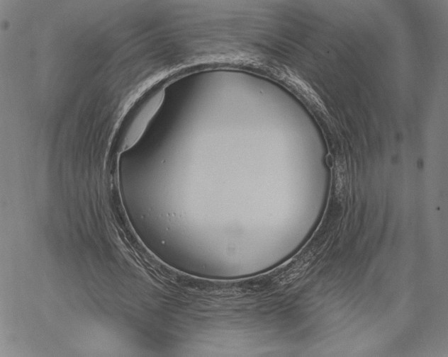 X0000067330628200604131701