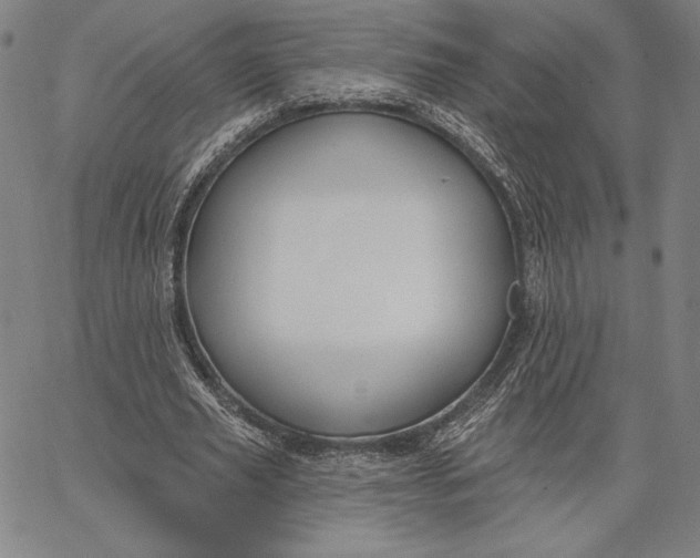 X0000067330629200604131701