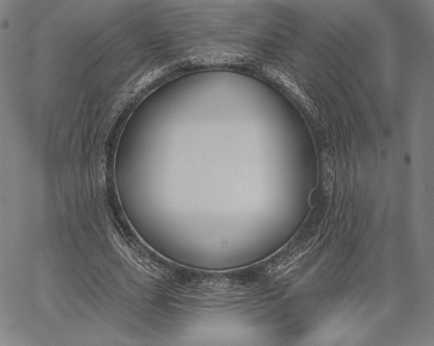 X0000067330631200604131701