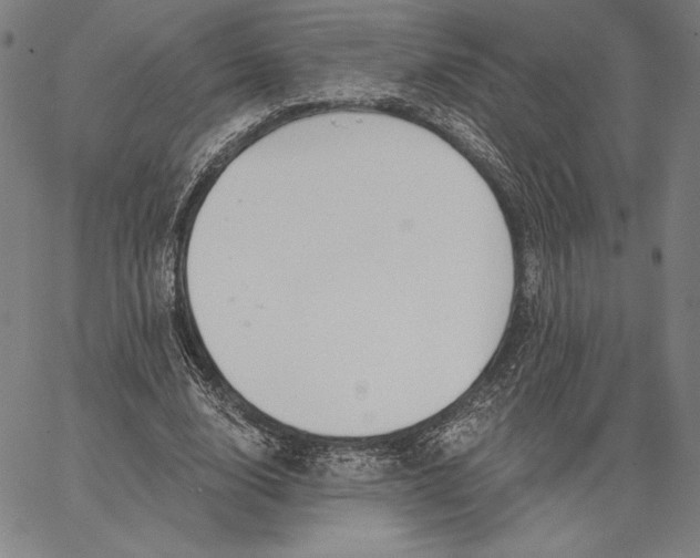 X0000067330632200604131701