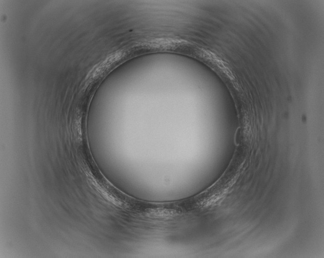 X0000067330633200604131701