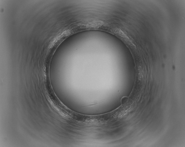 X0000067330634200604131701