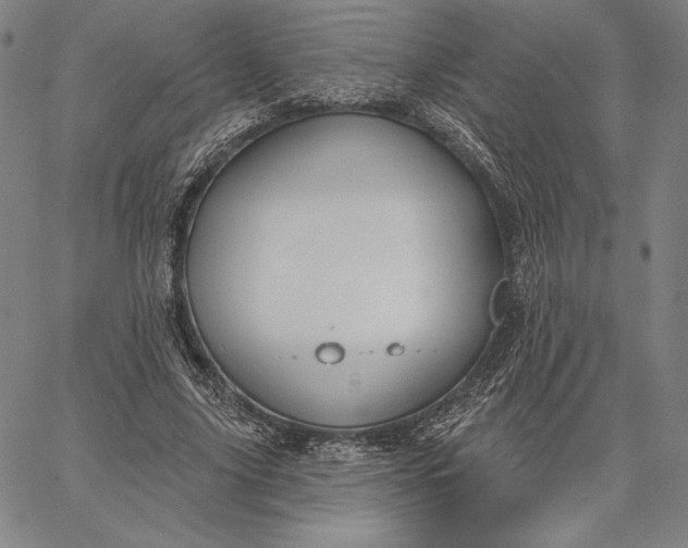 X0000067330635200604131701