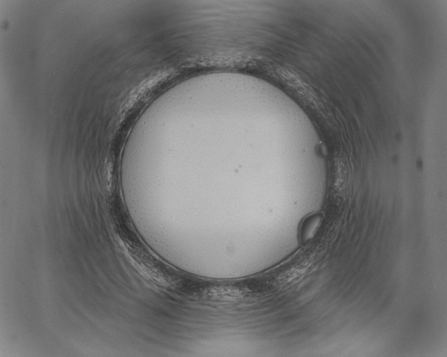 X0000067330636200604131701