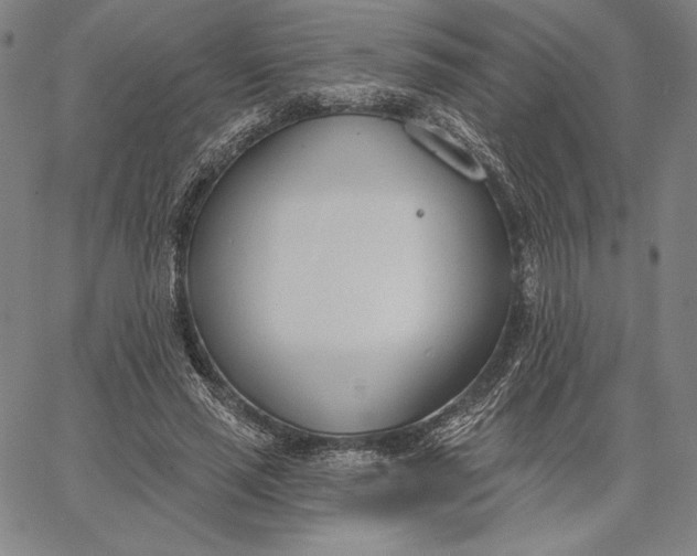 X0000067330637200604131701