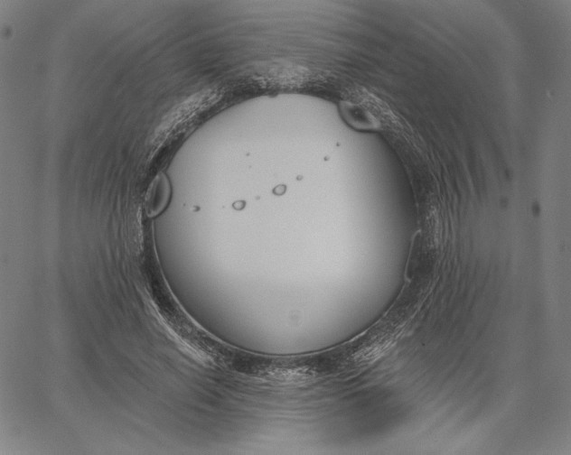 X0000067330638200604131701