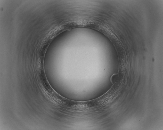 X0000067330639200604131701