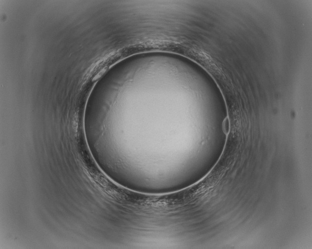 X0000067330640200604131701