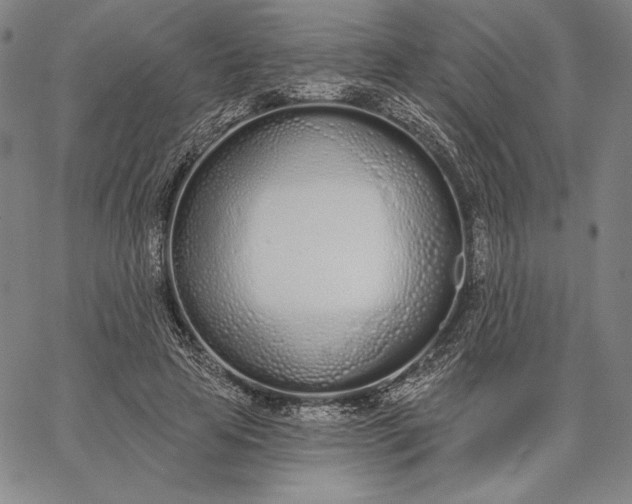 X0000067330641200604131701