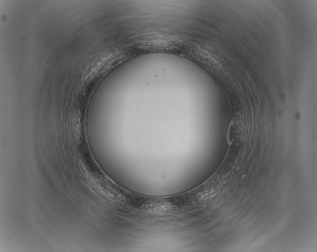 X0000067330642200604131701