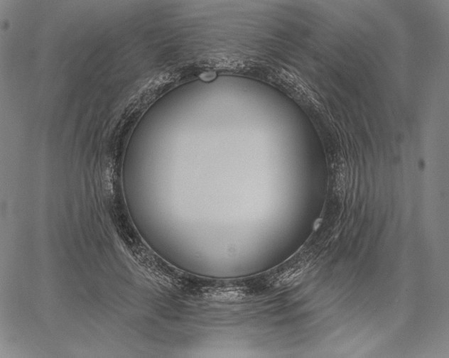 X0000067330643200604131701