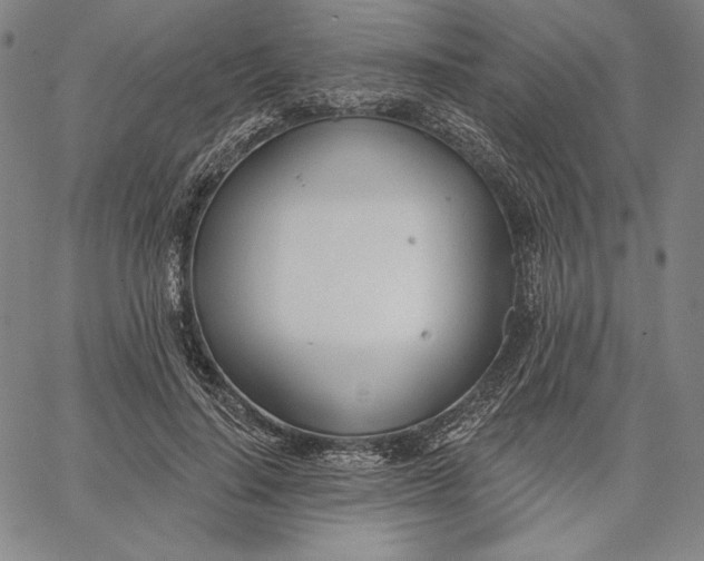 X0000067330644200604131701