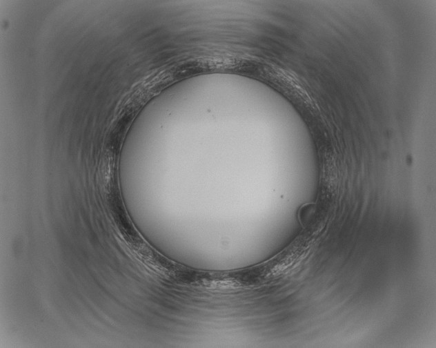 X0000067330645200604131701