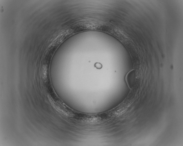 X0000067330646200604131702