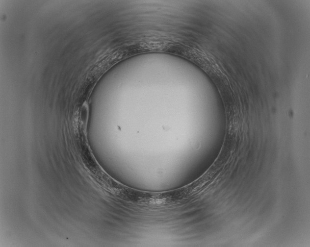 X0000067330647200604131702