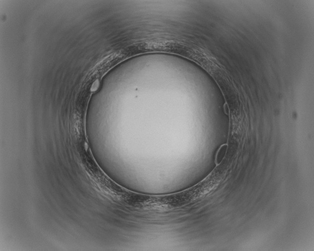 X0000067330648200604131702