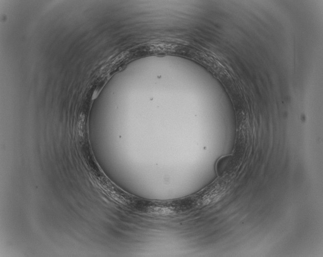 X0000067330649200604131702