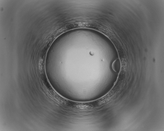 X0000067330650200604131702