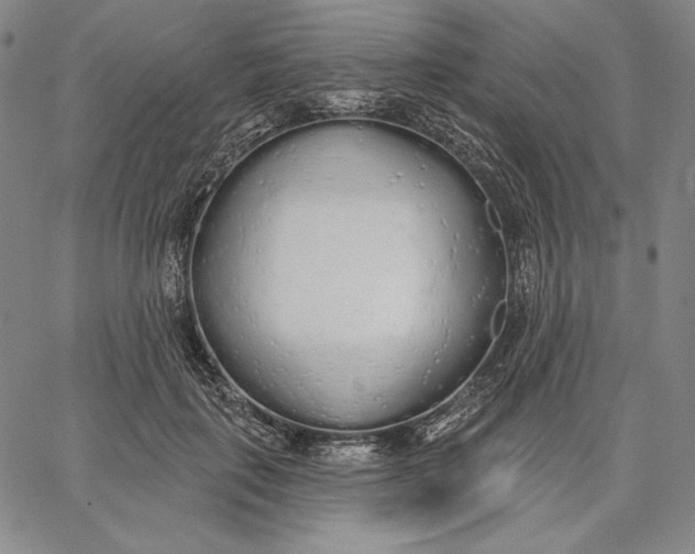 X0000067330651200604131702