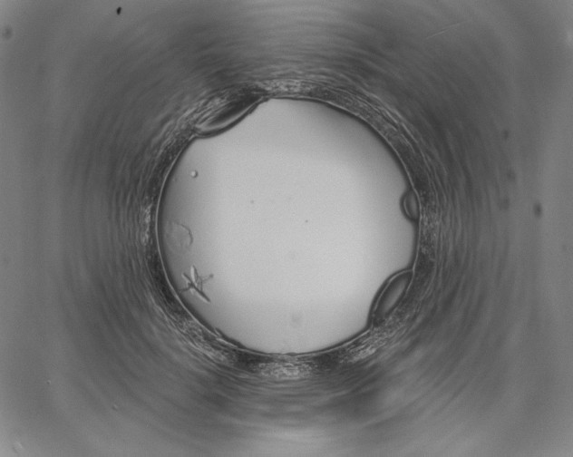 X0000067330652200604131702