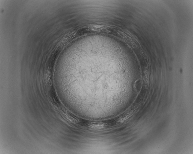 X0000067330653200604131702