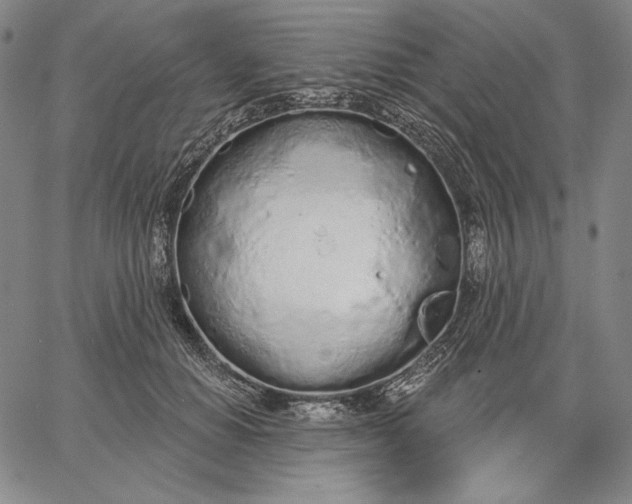 X0000067330654200604131702