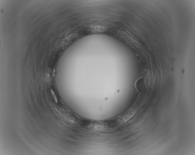 X0000067330655200604131702