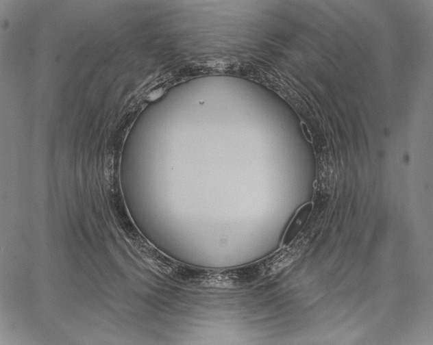 X0000067330656200604131702