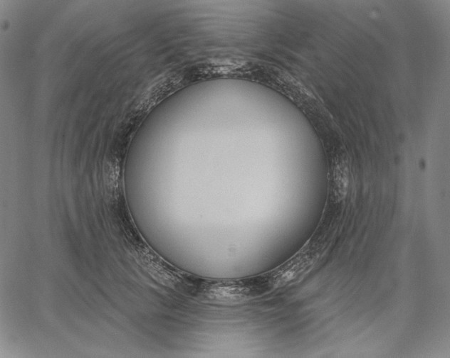 X0000067330657200604131702