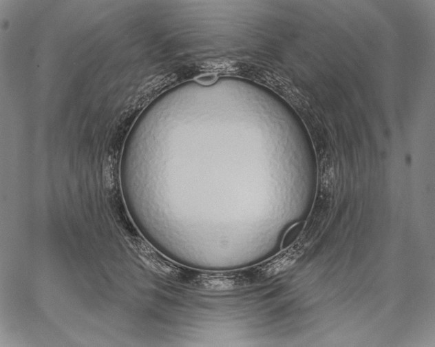 X0000067330658200604131702