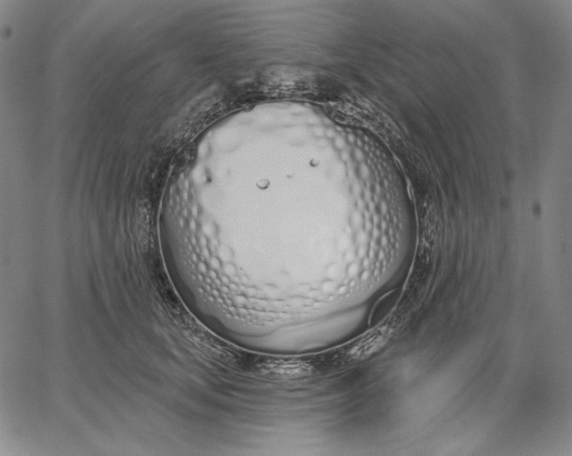 X0000067330659200604131702