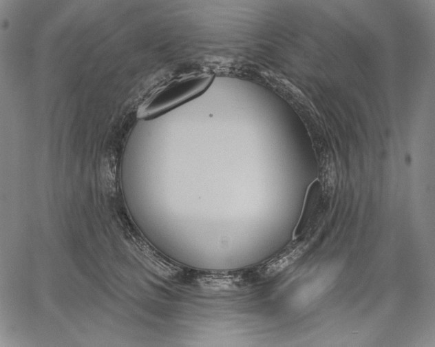 X0000067330661200604131702