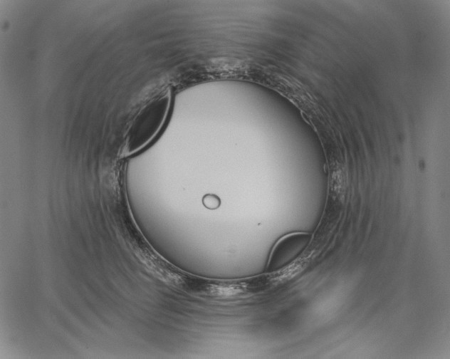 X0000067330662200604131702