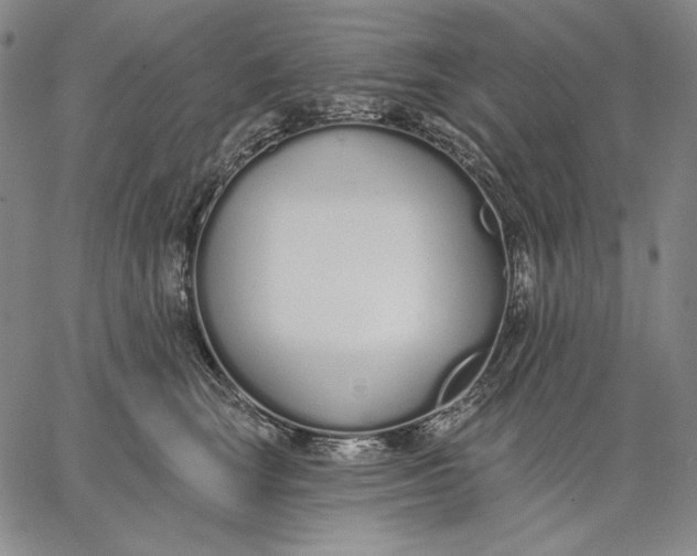 X0000067330663200604131702