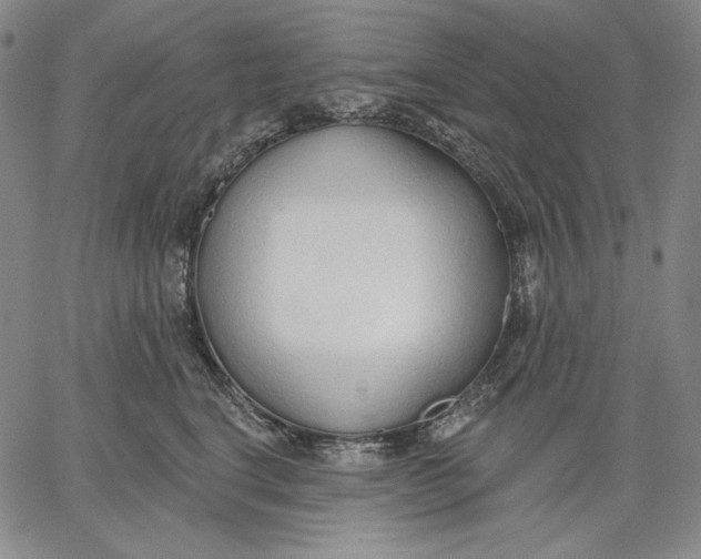 X0000067330664200604131702