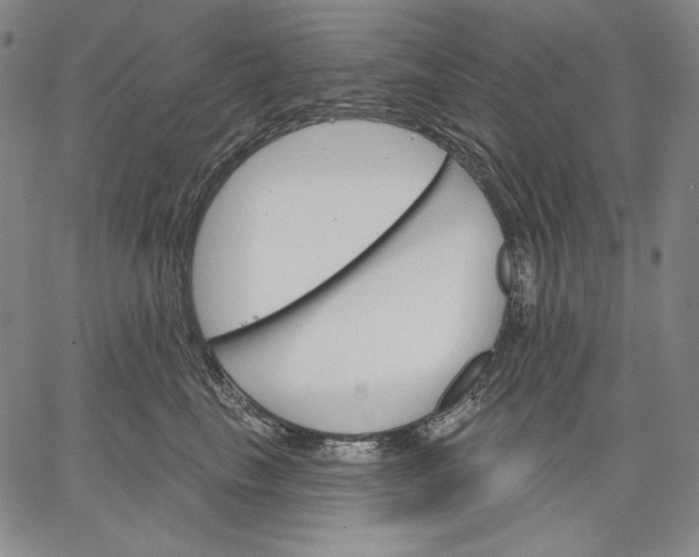 X0000067330665200604131702