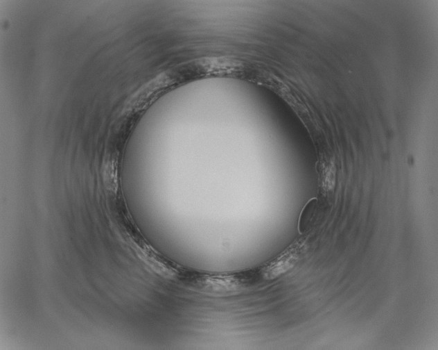 X0000067330666200604131702