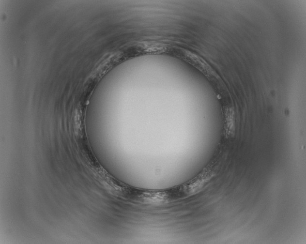 X0000067330667200604131702